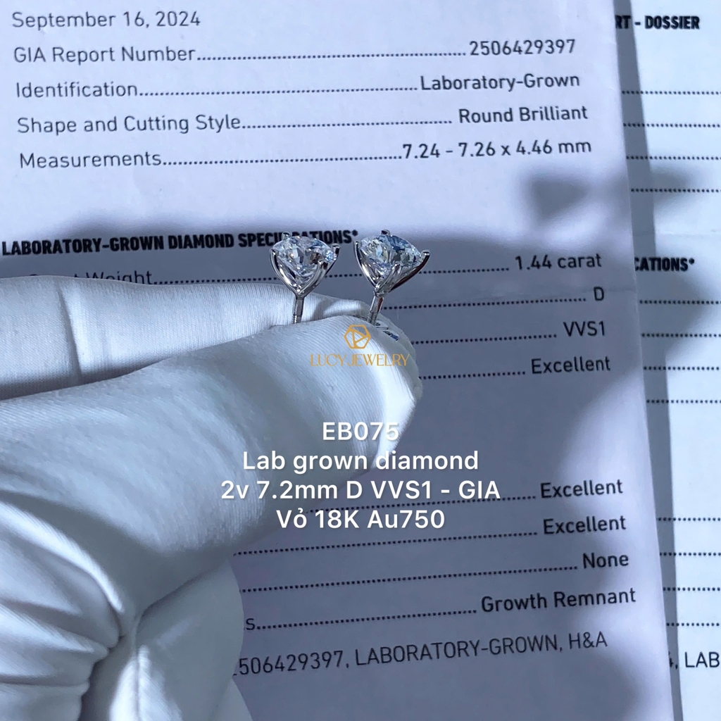 EB075 - Khuyên tai thiết kế, round cut, 7.2mm  - Lucy Jewelry