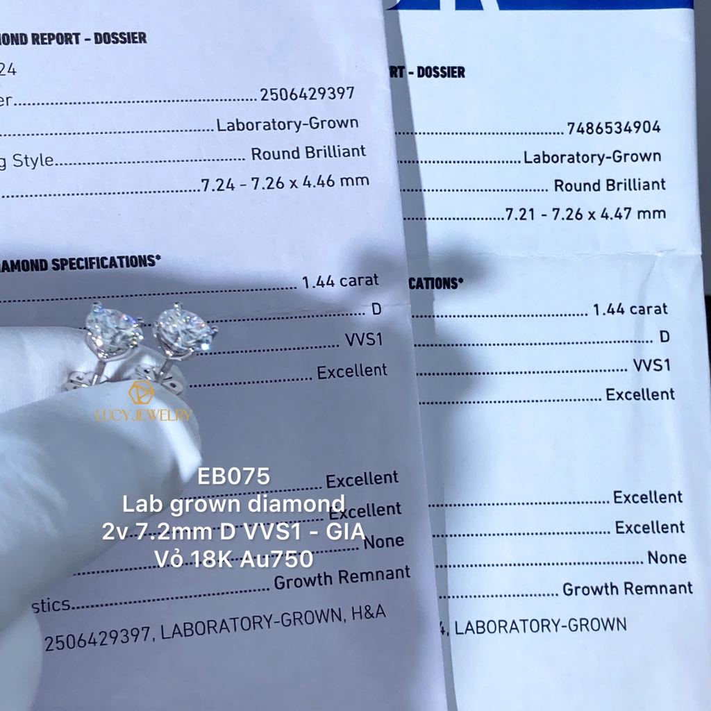 EB075 - Khuyên tai thiết kế, round cut, 7.2mm  - Lucy Jewelry