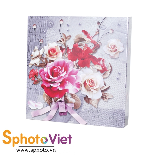 album dán S320 (160 ảnh 15x21)