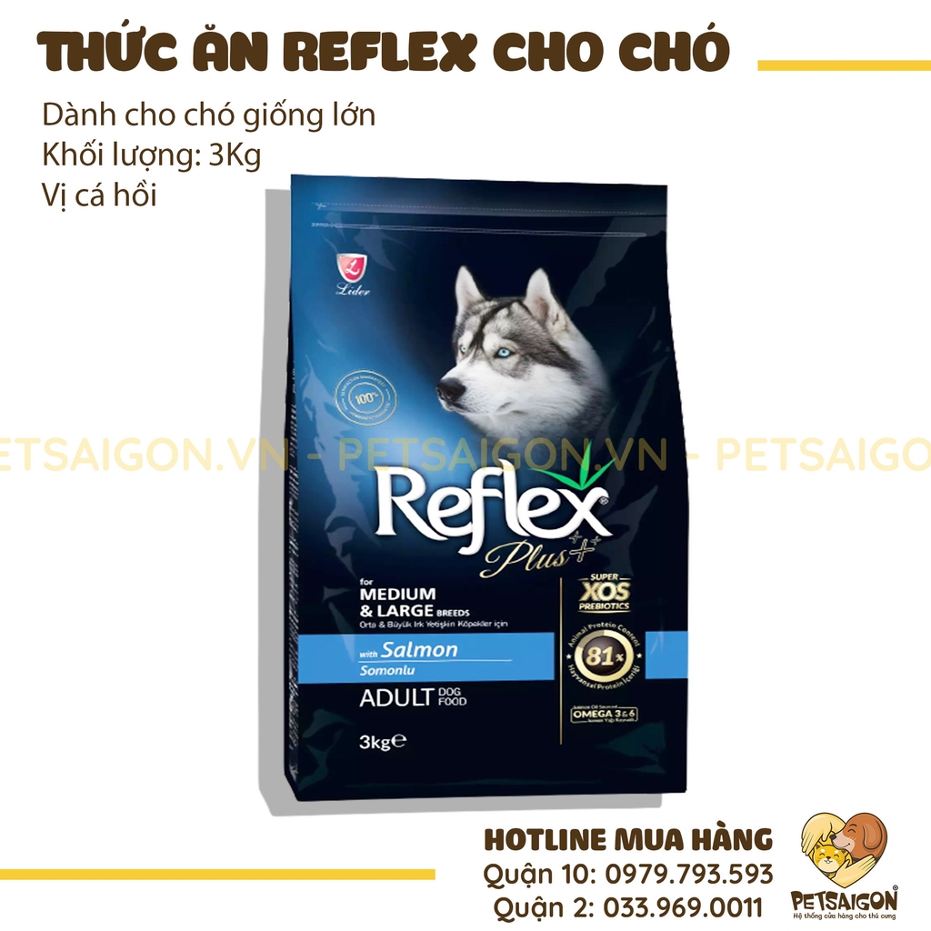 Thức ăn hạt Reflex là một lựa chọn tốt cho chó của bạn. Hình ảnh thức ăn cho chó trên nền trắng giúp tôn lên sự tinh tế và sạch sẽ của sản phẩm. Hãy xem ngay để biết thêm về thức ăn hạt Reflex.