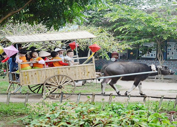 Giá Vé Tham Quan Vui Chơi Nông Trại EraHouse 2025