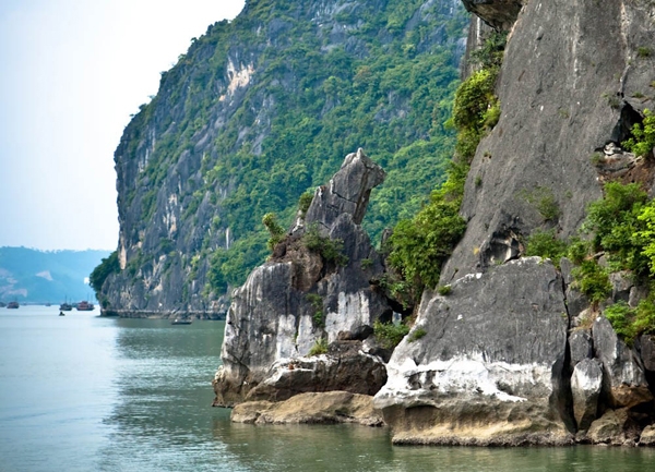 Giá vé tham quan hang Cỏ - Hạ Long