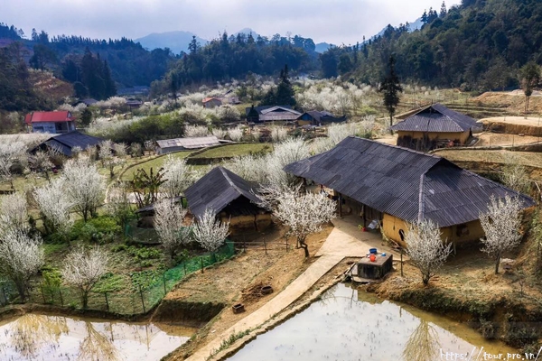 Tour Bắc Hà Lào Cai Review Kinh Nghiệm Du Lịch Giá Rẻ 2025