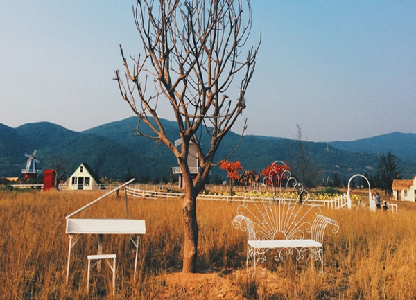 Giá Vé Vào Tham Quan Thuận Phước Field Đà Nẵng Mới 2025