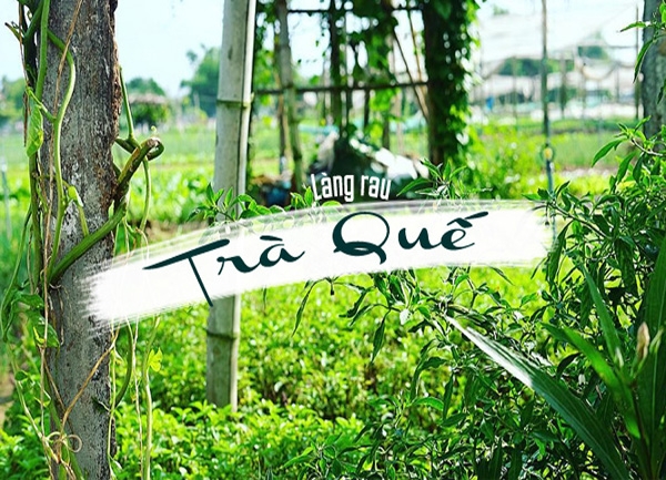 Giá vé tham quan làng rau Trà Quế - Hội An