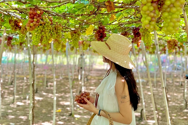 du-lịch-phan-rang