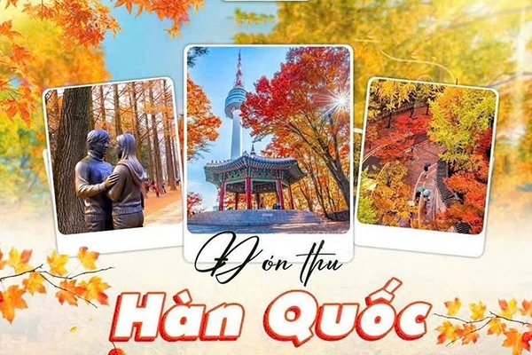 sai-gon-tphcm-hàn-quốc