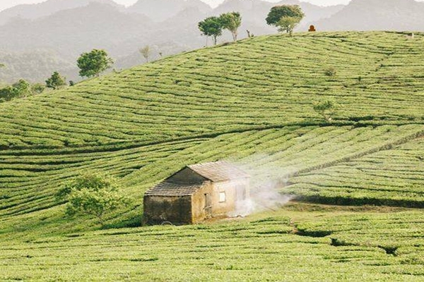 tour du lịch hồ chí minh - mộc châu