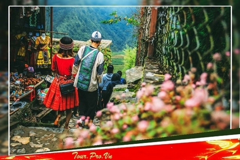 Experiencial Tour Ha Noi-Ninh Binh-Ha Long-SaPa 2026