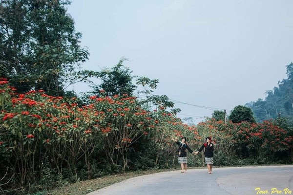 tour du lịch vườn quốc gia xuân sơn