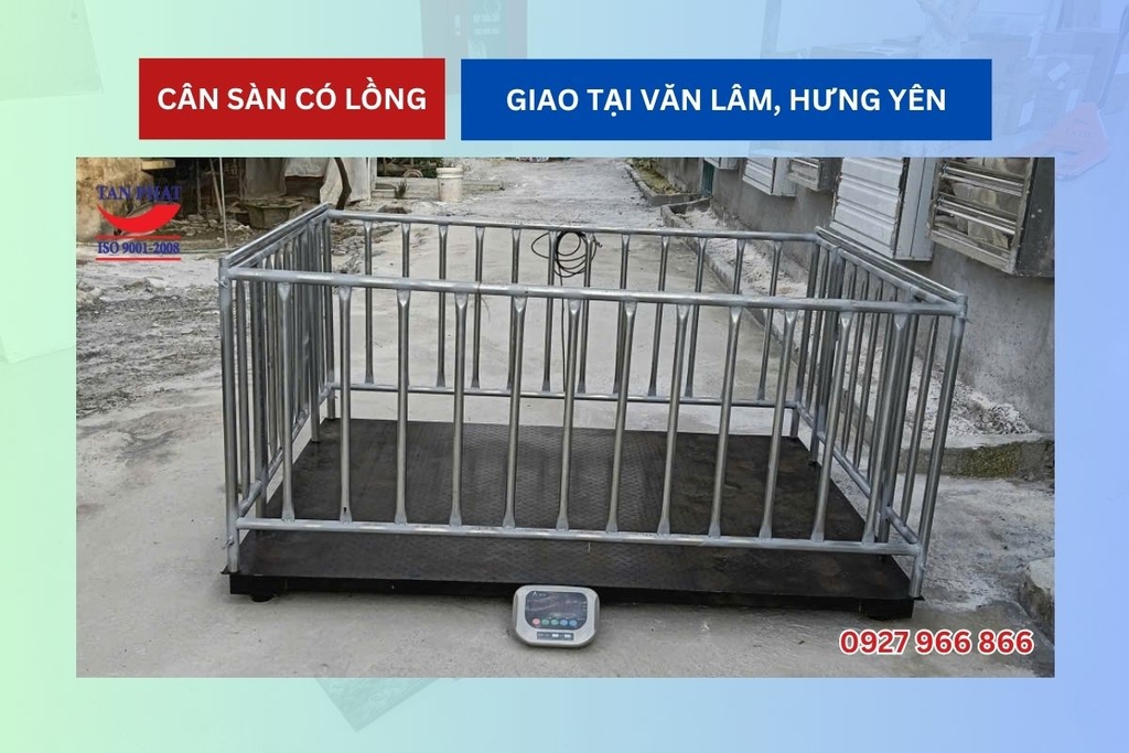Cân sàn có lồng giao tại Văn Lâm, Hưng Yên