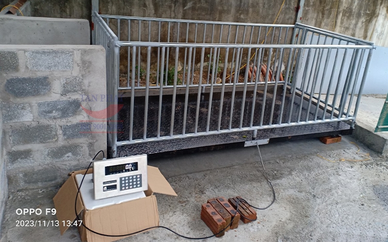 Cân bàn 2 tấn kích thước (2.4mx1.2m) ứng dụng trong cân động vật