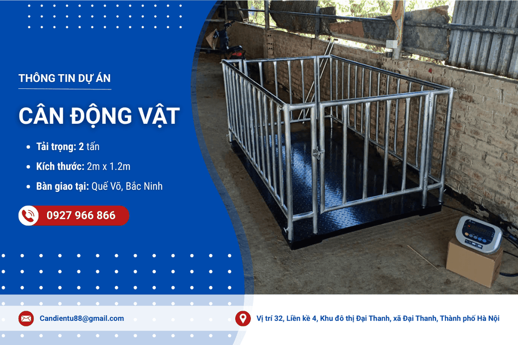 Giao nhanh cân sàn có lồng - cân động vật tại Quế Võ, Bắc Ninh