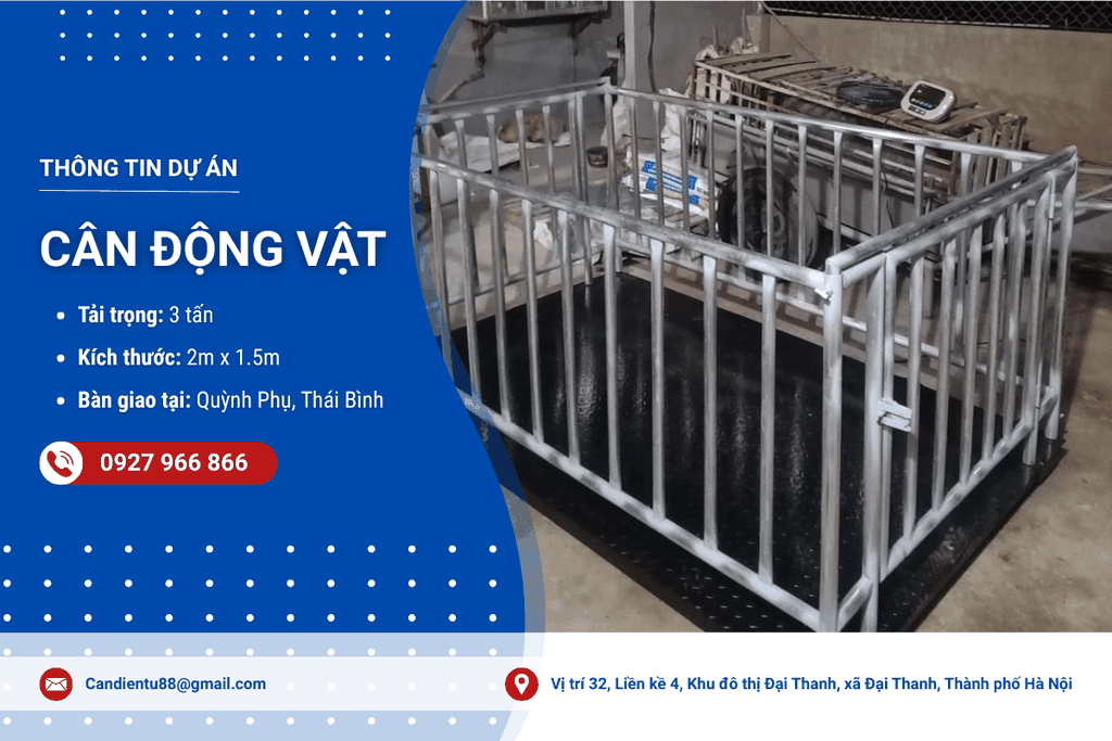 Cân động vật - Cân sàn có lồng giao tại Quỳnh Phụ, Thái Bình
