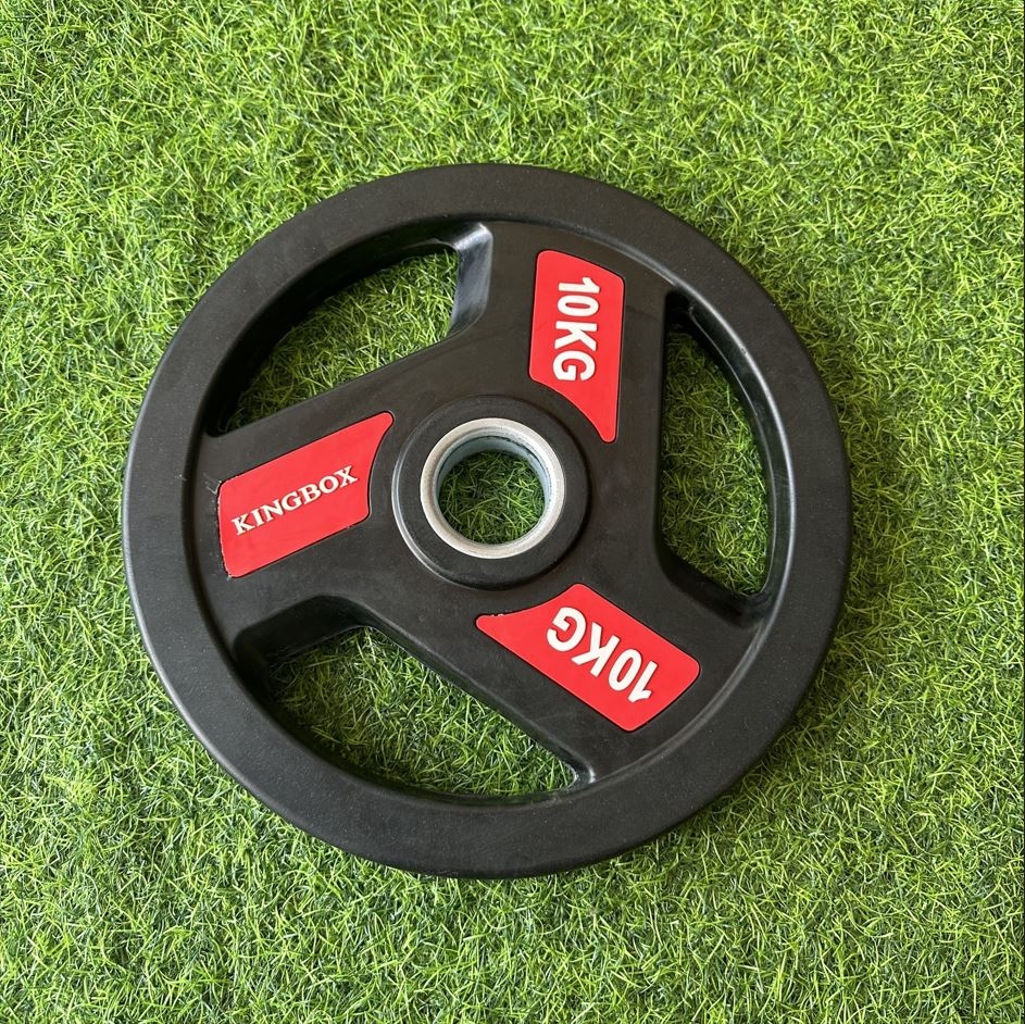 Bánh tạ đĩa KINGBOX chất liệu gang, bọc cao su phi 50mm