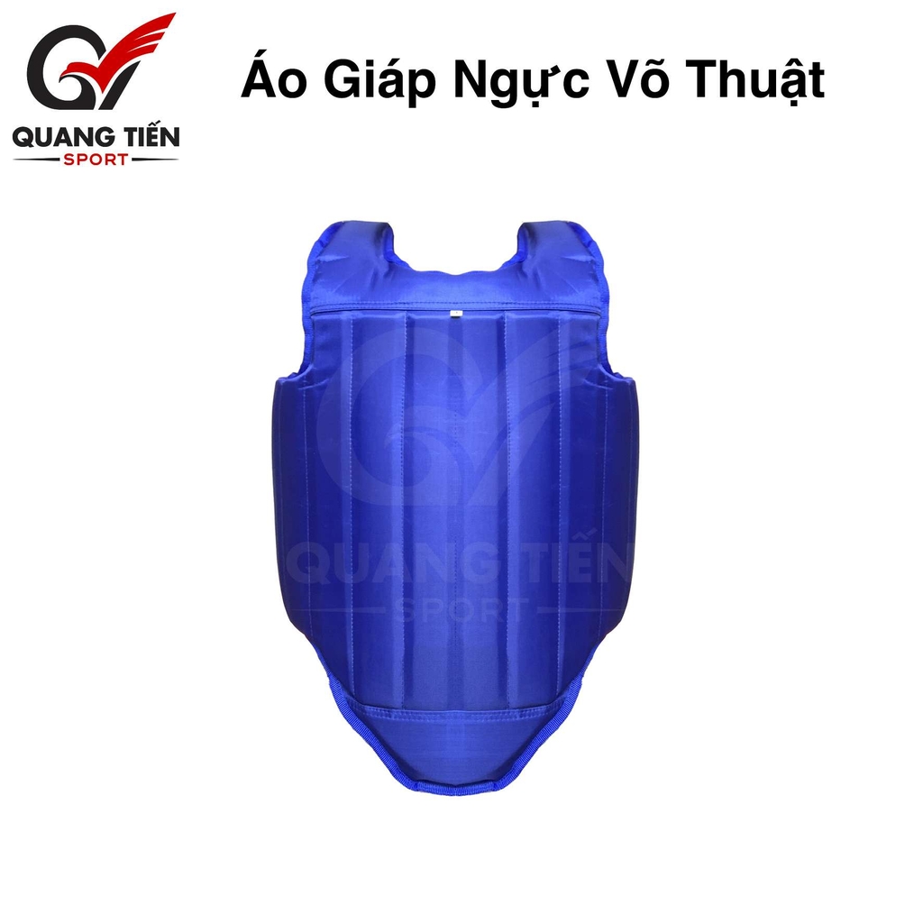 Áo giáp ngực Tán Thủ,Võ cổ truyền