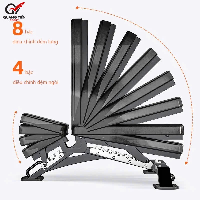 Ghế Tập Gym Đa Năng V-TAP ZTS04, Ghế Tập Tạ Chịu Lực 300kg Hộp Thép Dày 2mm (Bảo Hành 24 Tháng)