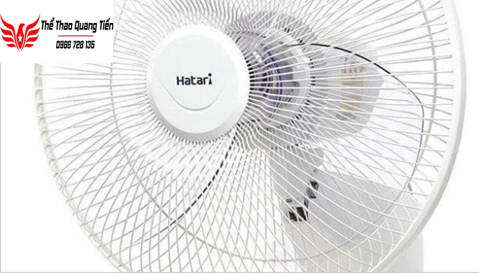 Quạt treo tường Hatari - HT-W16R6