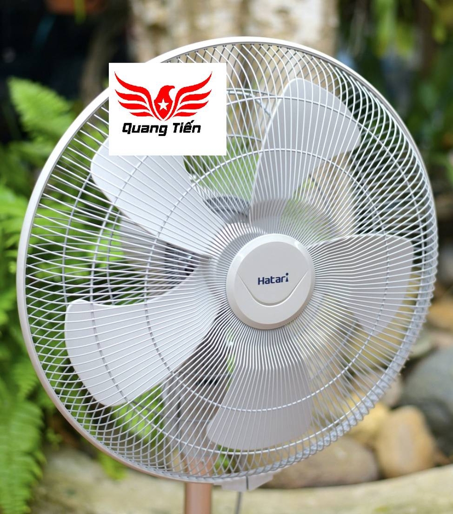 Quạt sàn rút lỡ Hatari IS18M1