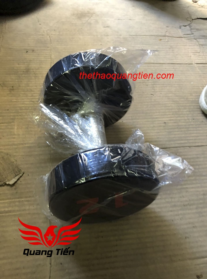 Tạ tay gang liền khối tay inox 16 kg ( giá 1 chiếc )