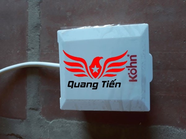 Đèn sưởi nhà tắm 2 bóng âm trần Braun Kohn BK02G không có điều khiển