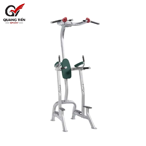 Hoist CF3962A Khung tập đá bụng xà đơn xà kép thương hiệu Mỹ [Fitness Tree]