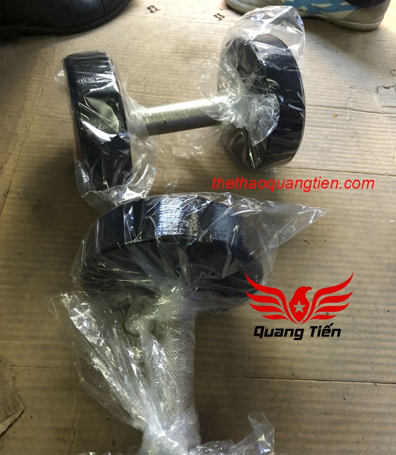Tạ tay gang đúc nguyên khối tay inox loại siêu đẹp ( giá 1 chiếc )