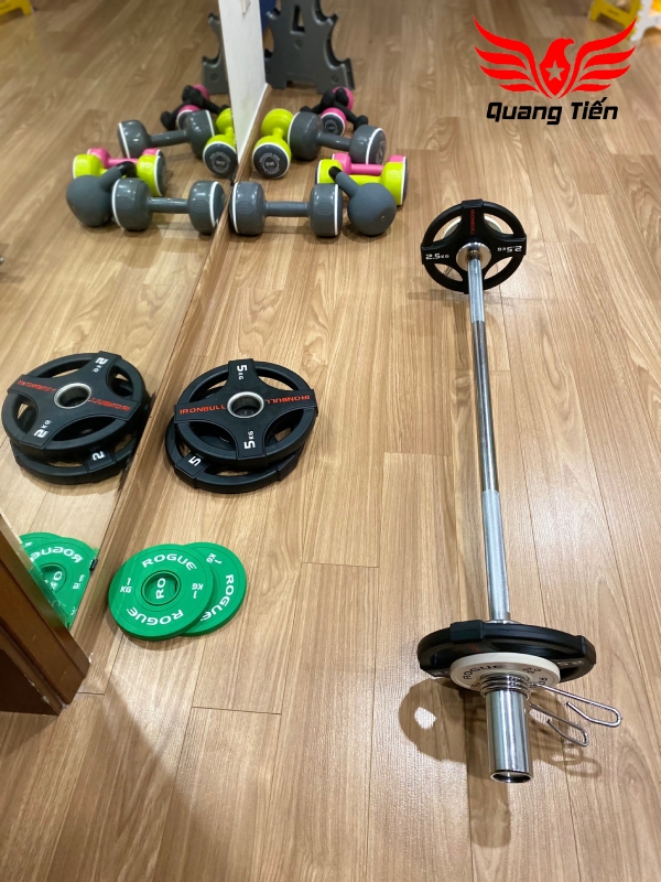 Tạ bánh đĩa cao su cao cấp Iron Bull 20kg nhập khẩu tem đỏ trắng chính hãng