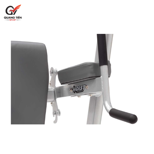 Hoist HF5962 Khung tập đá bụng Xà đơn Xà kép thương hiệu Mỹ [Fitness Tree]