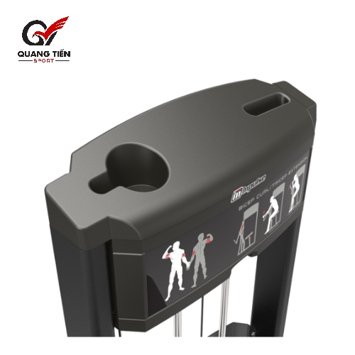 Impulse IF9333 Máy tập cơ tay trước và tay sau [Bicep Curl/Tricep Extension]
