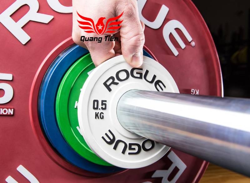 Tạ bánh cao su ROGUE cao cấp 2 kg mini lỗ 50 nhập khẩu