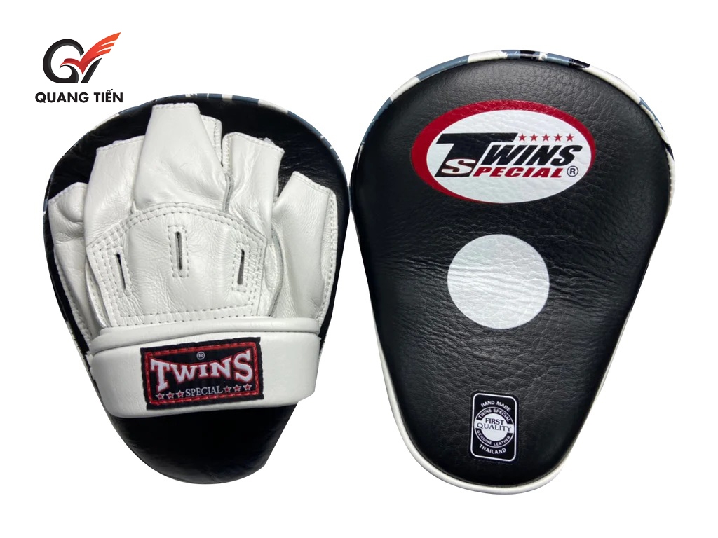 ĐÍCH ĐẤM TWINS PML10 FOCUS MITTS