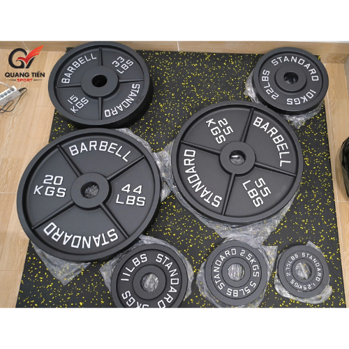 Tạ gang Standard Barbell - 01 cặp bánh tạ gang tập gym, tập tạ đủ size