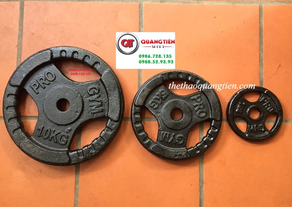 Tạ bánh đĩa gang pro 1kg 3 cánh giá rẻ QT06