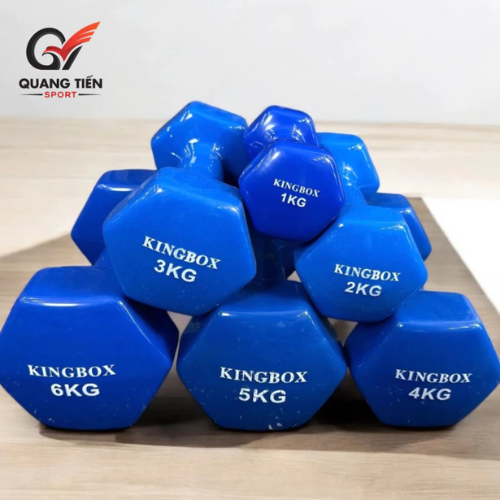 Tạ Tập Gym Tại Nhà KingBox,Tạ Tay Chất Liệu Gang Bọc Cao Su Chống Xước Vỡ Sàn Cân Nặng 1kg (giá 1 quả)
