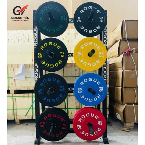 Tạ bánh Rogue đen cao cấp (giá 1 cặp)