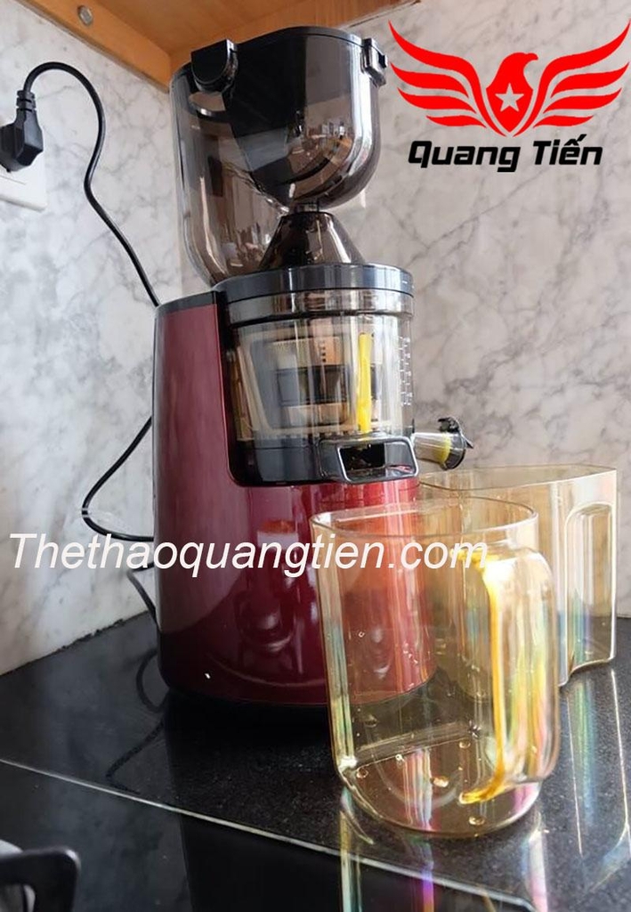 Máy ép chậm Ranbem RBM-615 - 150W  QT26