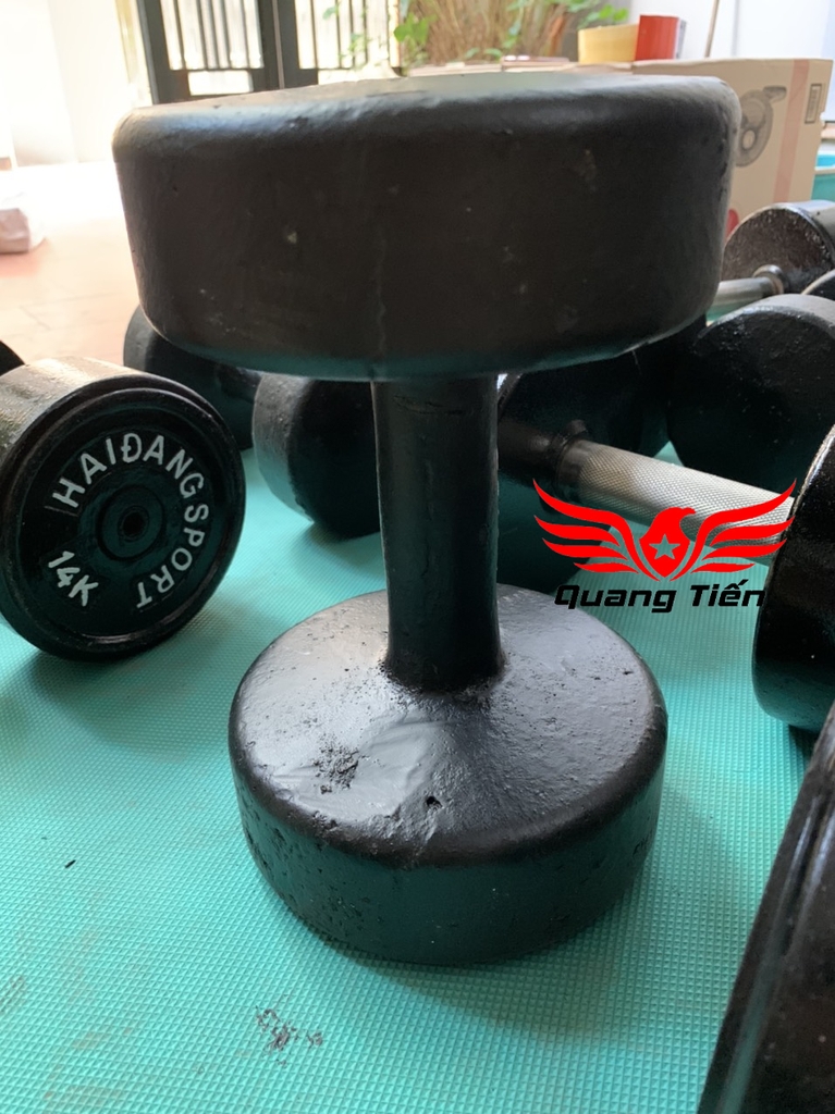 Tạ tay gang đúc liền khối 20 kg loại đẹp 2021 ( giá 1 chiếc )