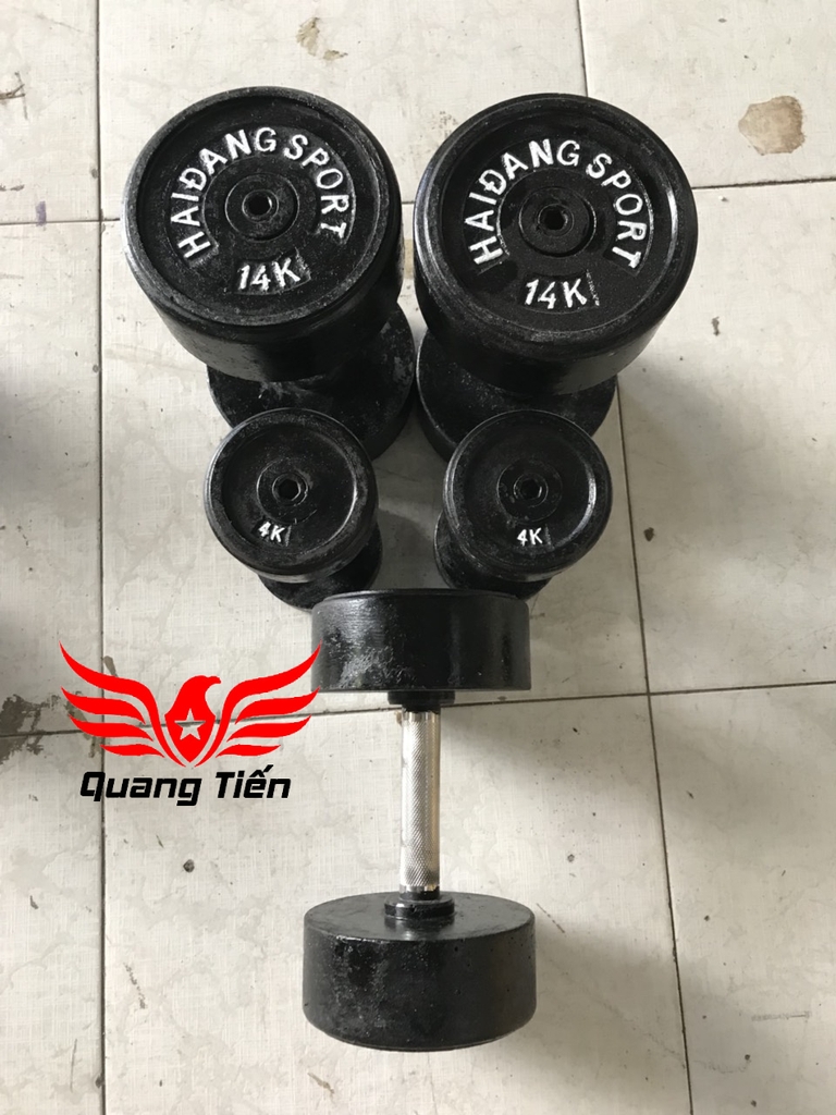 Tạ tay gang liền khối tay inox 4 kg ( giá 1 chiếc )