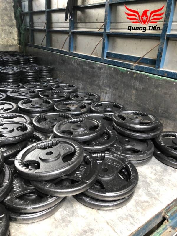 Tạ bánh gang 20kg, tạ đĩa gang 20kg phi 30 lỗ nhỏ QT08
