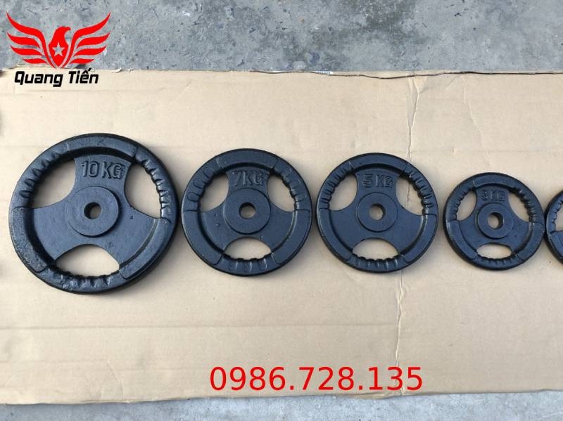 Tạ bánh gang 20kg, tạ đĩa gang 20kg phi 30 lỗ nhỏ QT08