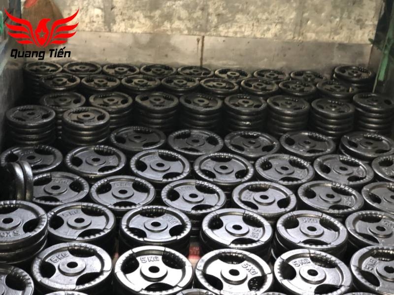 Tạ bánh gang 20kg, tạ đĩa gang 20kg phi 30 lỗ nhỏ QT08
