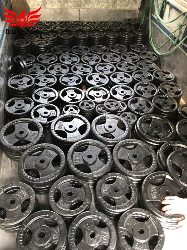 Tạ bánh gang 20kg, tạ đĩa gang 20kg phi 30 lỗ nhỏ QT08