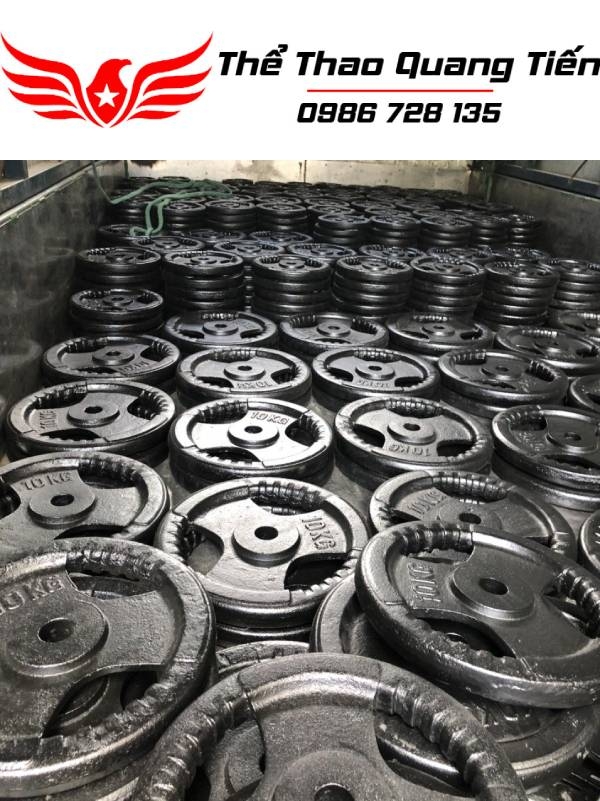 Tạ bánh gang 20kg, tạ đĩa gang 20kg phi 30 lỗ nhỏ QT08