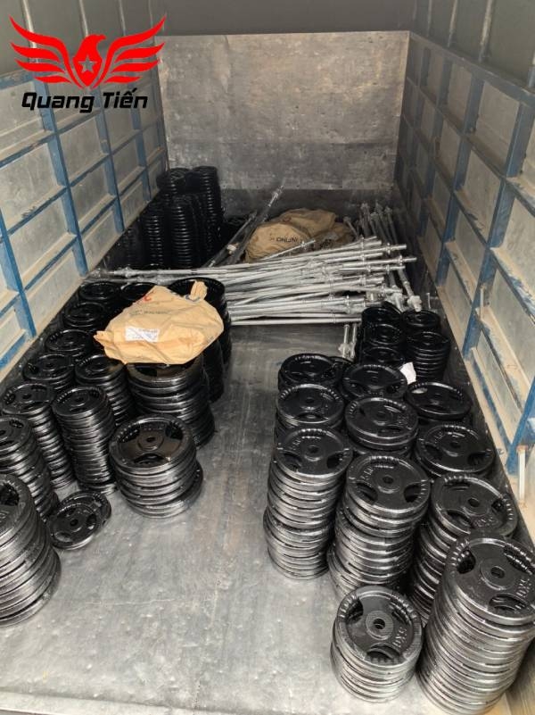 Tạ bánh gang 20kg, tạ đĩa gang 20kg phi 30 lỗ nhỏ QT08