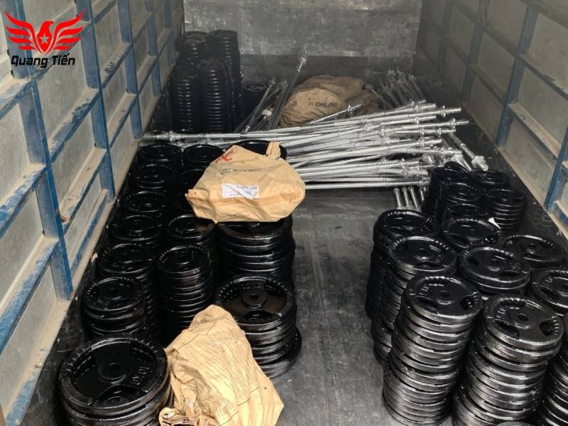 Tạ bánh gang 20kg, tạ đĩa gang 20kg phi 30 lỗ nhỏ QT08