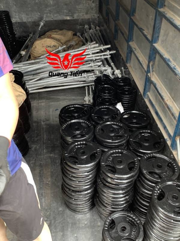 Tạ bánh gang 20kg, tạ đĩa gang 20kg phi 30 lỗ nhỏ QT08