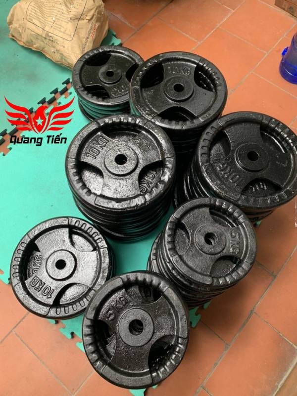 Tạ bánh gang 20kg, tạ đĩa gang 20kg phi 30 lỗ nhỏ QT08