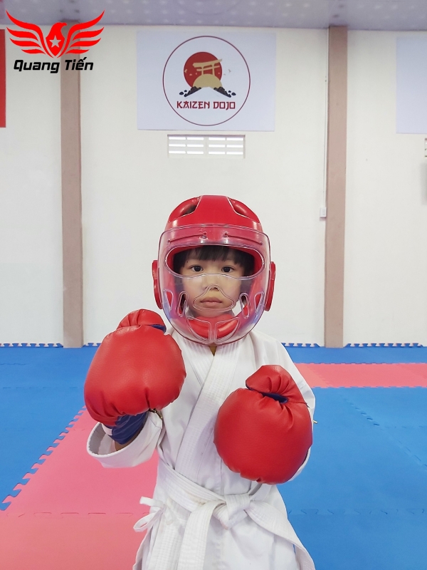 Mũ bảo vệ đầu taewondo,nón bảo vệ đầu có kính