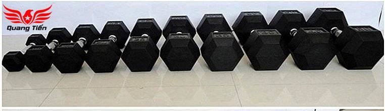 Tạ tay cao su lục giác cao cấp Iron Bull 15kg nhập khẩu ( giá 1 quả )